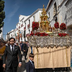 Corpus26-34