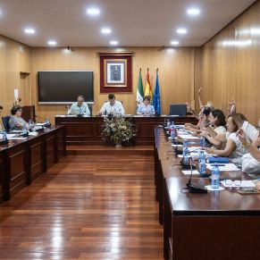 Extraordinario 20 Julio-03