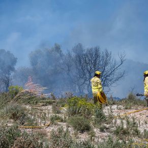 IncendioSierra04