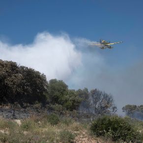 IncendioSierra09