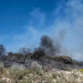 IncendioSierra11