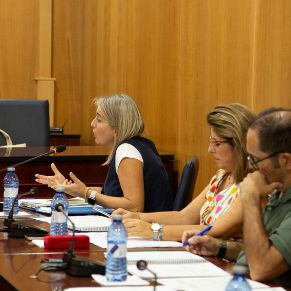 Pleno 29Sep2026-04