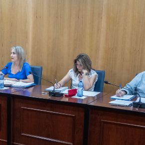 Pleno26Mayo-04