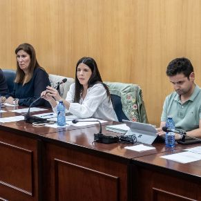 Pleno27Oct26-04
