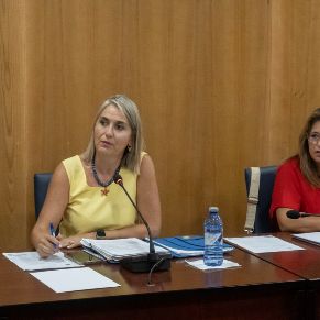 Pleno28Julio-04