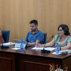 Pleno28Julio-05