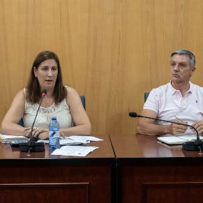 Pleno28Julio-07