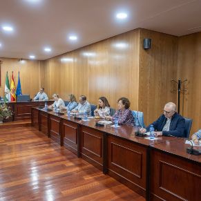 Pleno31Oct-03