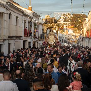 Remedios26-20 Remedios26-20