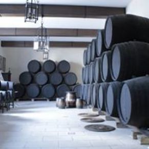 14925675_1015746495215272_5013638626333086076_n