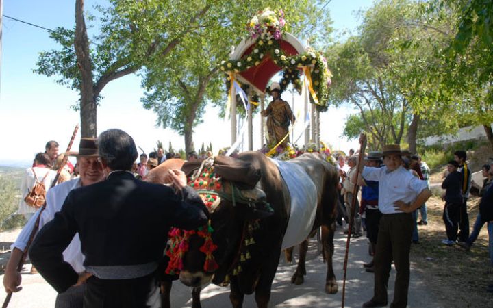 Romeria04