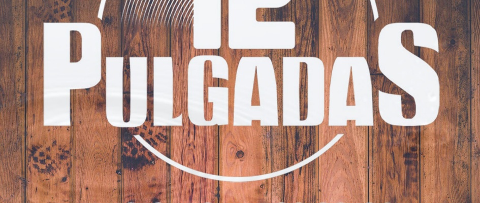12 PULGADAS VC22