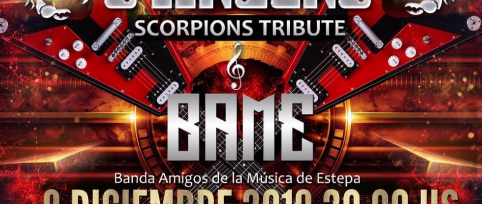 72583427_2497128280533466_6458626009880068096_n