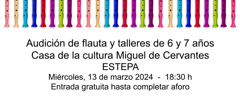 Audicion Flauta