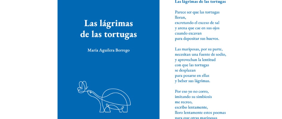 CARTEL PRESENTACIO¿N LIBRO POESI¿A