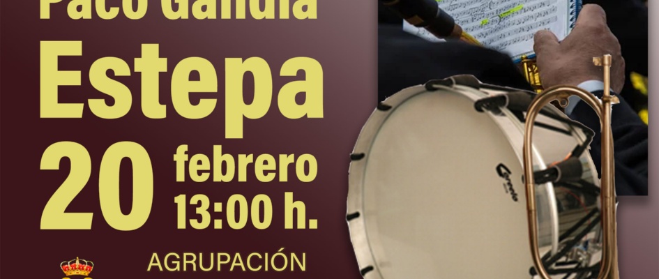 CERTAMEN BANDAS web