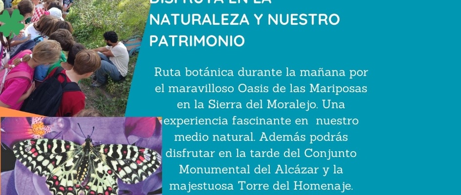 El OASIS DE LAS MARIPOSAS (4)