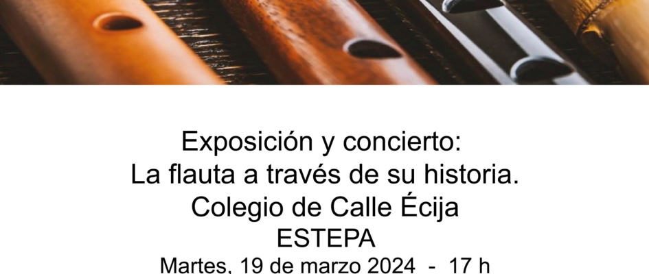 Exposicio¿n Flauta