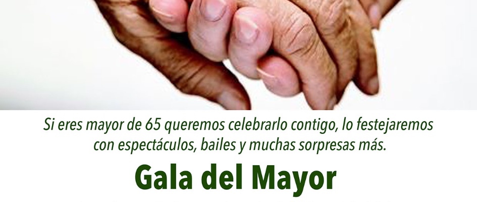Gala Mayor web