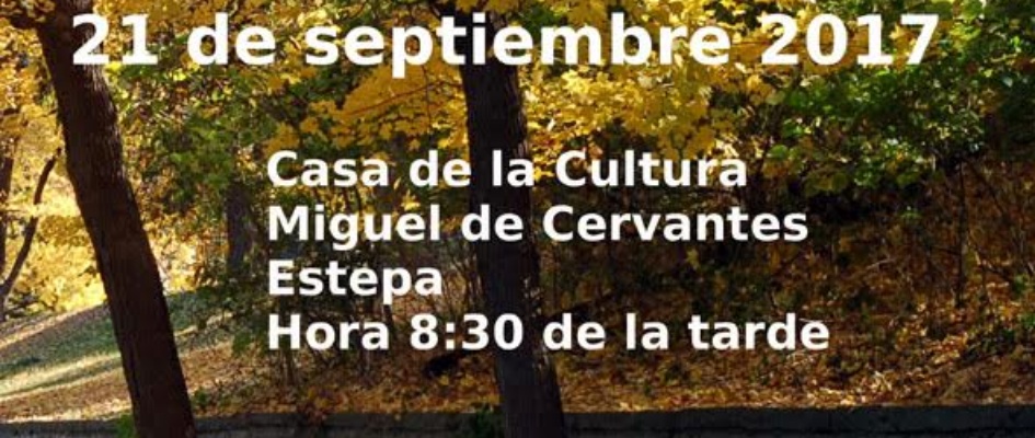 LIBRO TEORIA DE LA EXPRESION