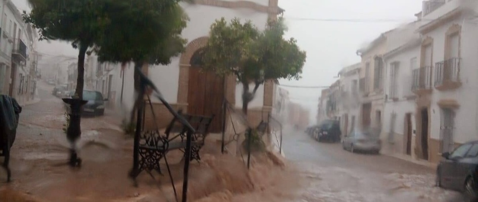 117393897_2703116190009846_6450014640960592475_o