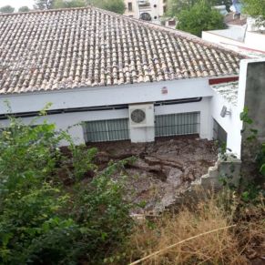 117405929_2703116263343172_4107055351354658062_o