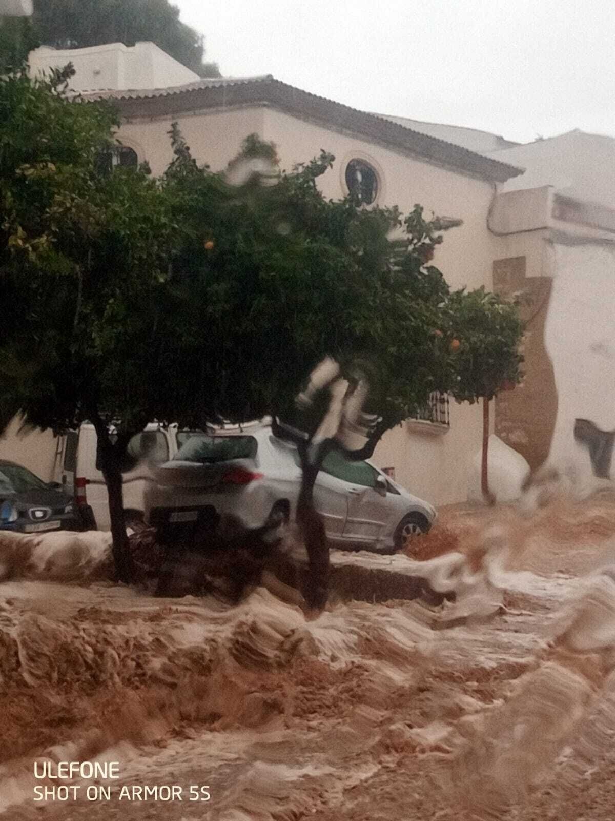 117417591_2703116176676514_6282348768101588715_o