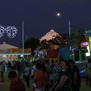 240 Feria13