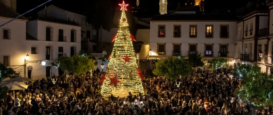 317275781_445380451102311_2461203387724176545_n