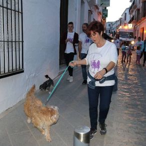 33653405_2037643509890454_8941420043896356864_o