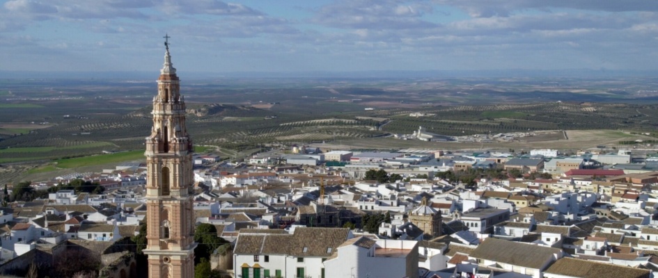 347261215_569158955391126_5617085450406600823_n