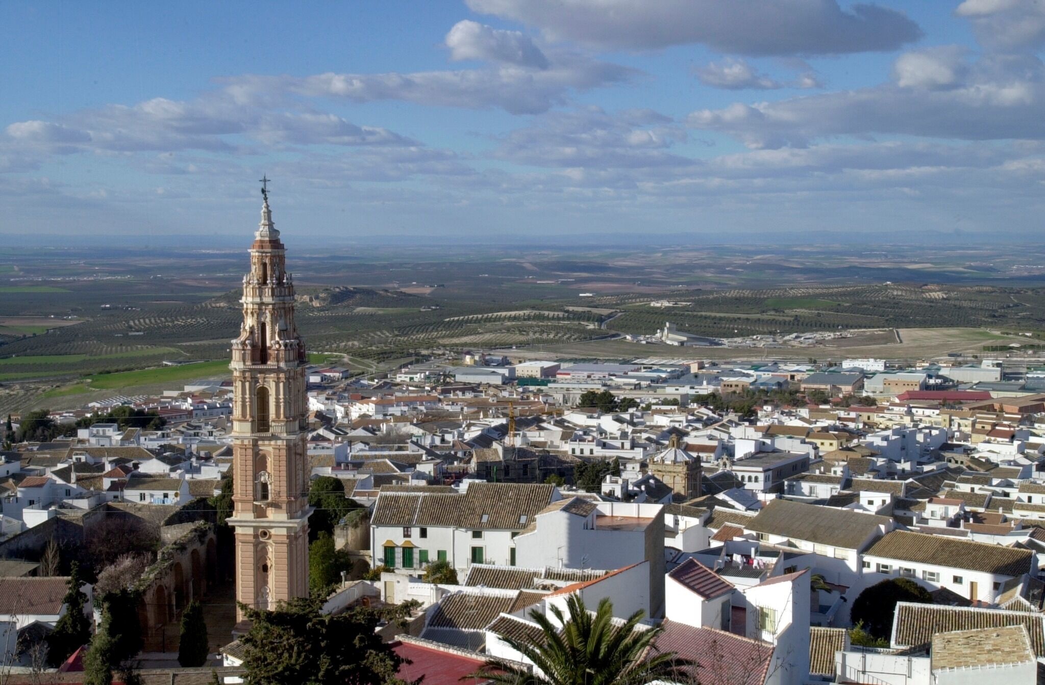 347261215_569158955391126_5617085450406600823_n