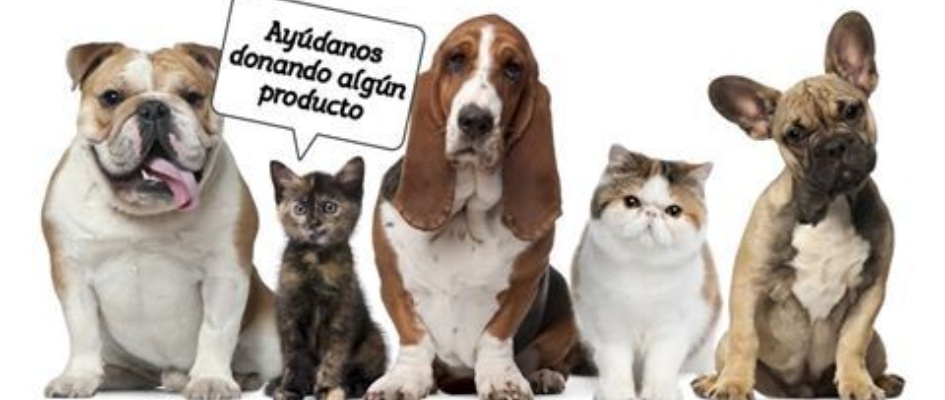 44723413_1904960386479215_5203489085401858048_n