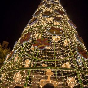 74387945_2446860585635409_8655205738278289408_o