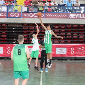 Basket01