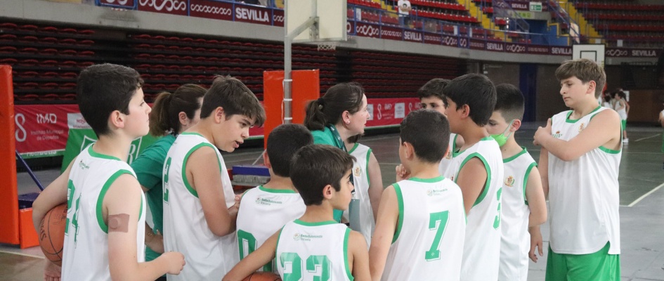 Basket06