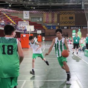 Basket08