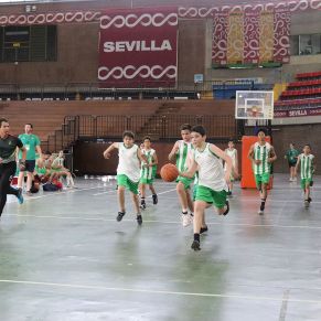 Basket11