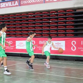 Basket12