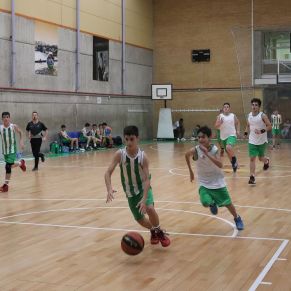 Basket16