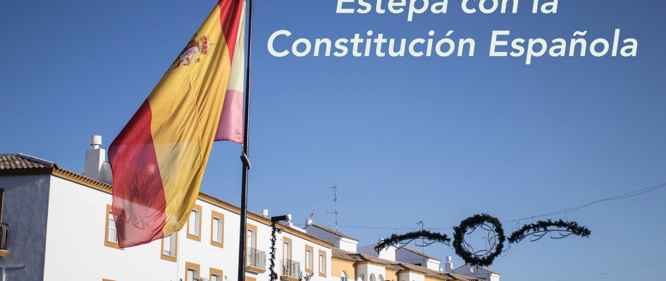 Constitucion