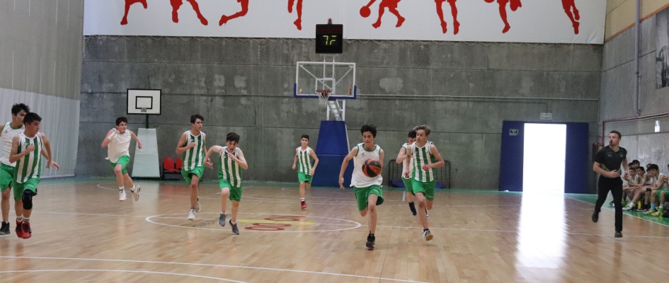 Desplazamientos Deportivos