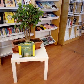 FOTO EL ARBOL DE LA ESCUELA 1