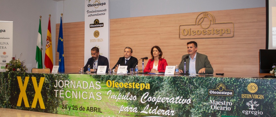 FiestaOleoestepa2025-01