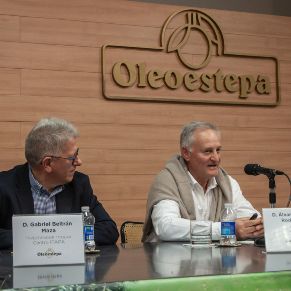 FiestaOleoestepa2025-09