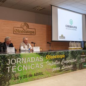 FiestaOleoestepa2025-10