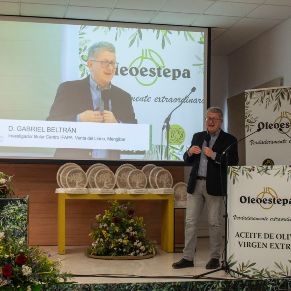 FiestaOleoestepa2025-11