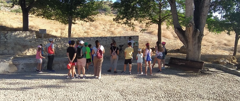 IMG_20220720_201005 (1)