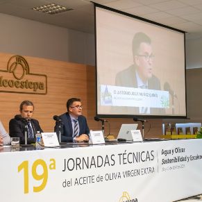 JornadasOleoestepa04