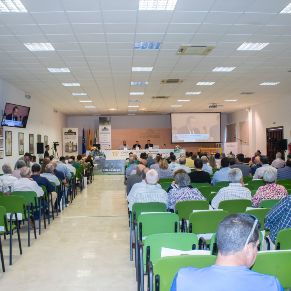 JornadasOleoestepa07